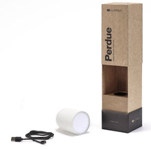 Lade das Bild in den Galerie-Viewer, Akkuleuchte Perdue - magnetisch