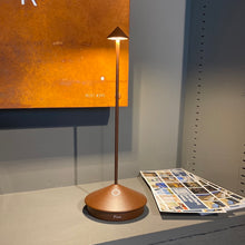 Lade das Bild in den Galerie-Viewer, Akkuleuchte Pina Pro