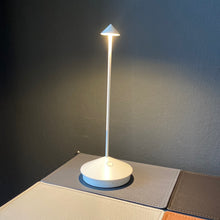 Lade das Bild in den Galerie-Viewer, Akkuleuchte Pina Pro