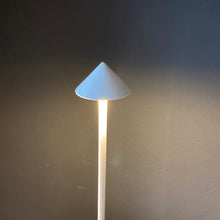 Lade das Bild in den Galerie-Viewer, Akkuleuchte Pina Pro