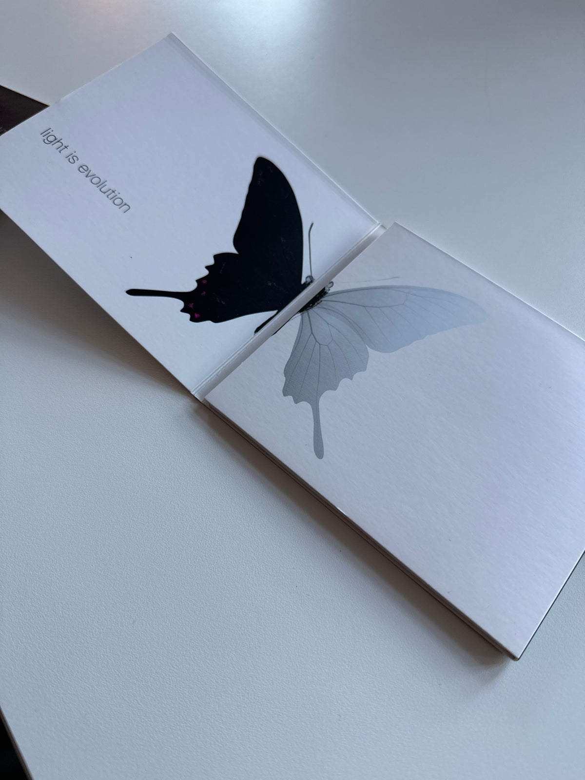 Ersatz Glas für Occhio Sento Kopf Halogen Sonderpreis
