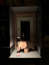 Lade das Bild in den Galerie-Viewer, La Chaise Eames Special Collection 2023

