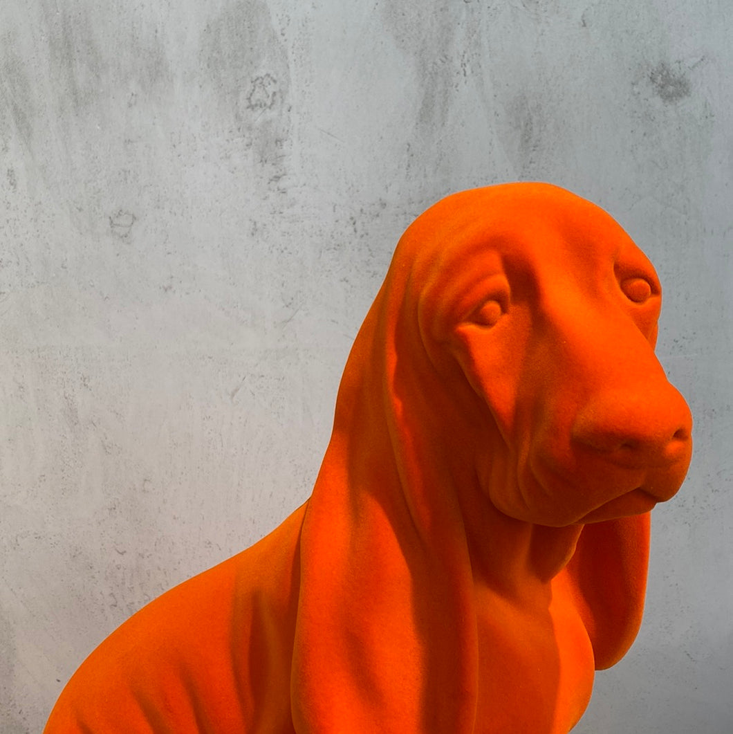 Hund Estelle the Basset von zoozoofriends